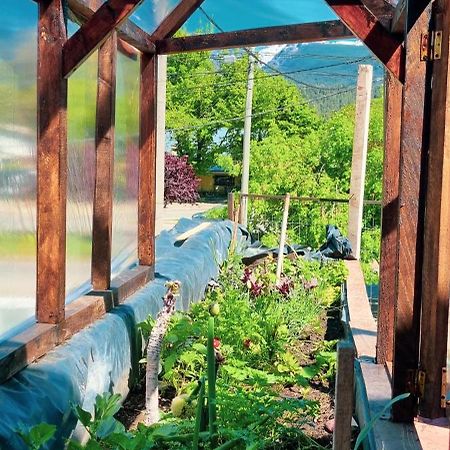 Posada Del Buscador Эль-Больсон Экстерьер фото